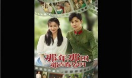 岁月电视剧,一段跨越时光的青春传奇