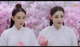 花谢花开花满天电视剧,爱恨情仇，命运交织的传奇人生