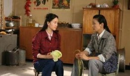 家常菜电视剧剧情介绍,舌尖上的温情岁月