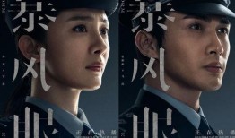 最新国安反间谍电视剧,揭秘国安反间谍风云录